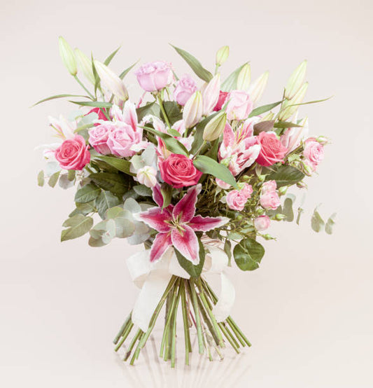 Blush Harmony