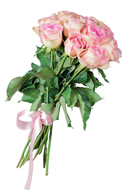 12 Pink Roses